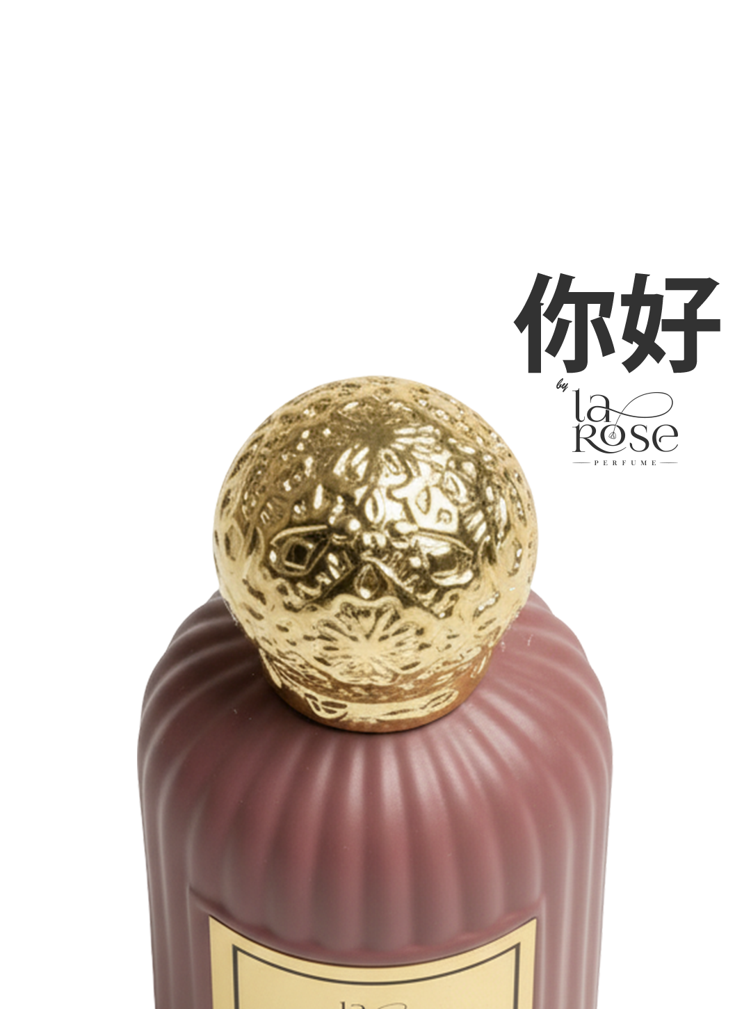 Nihao 你 好