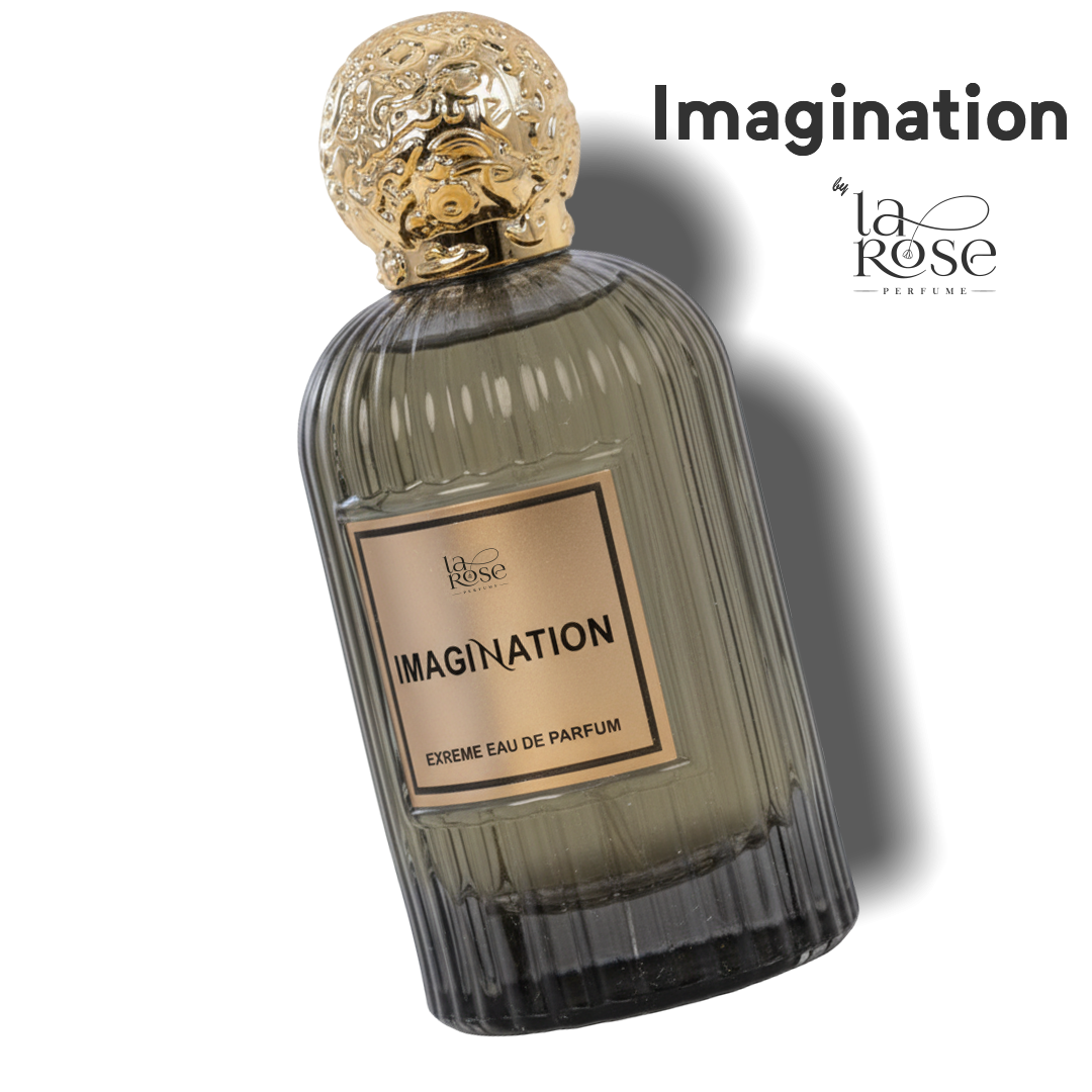 Imagination